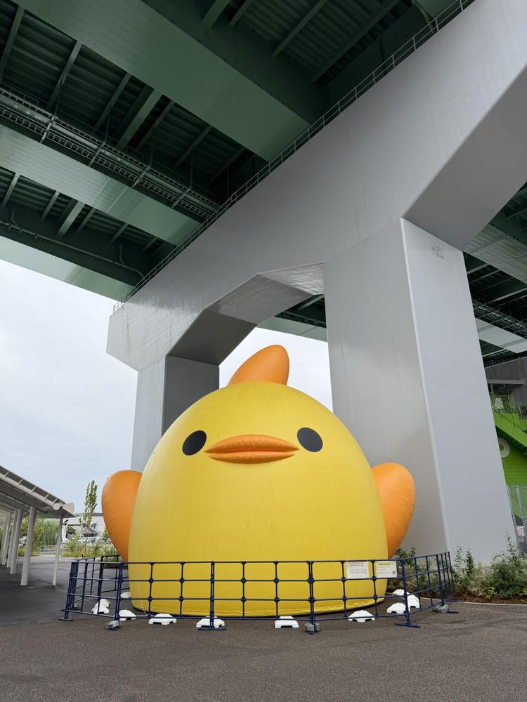 🐰火曜出勤🐰
