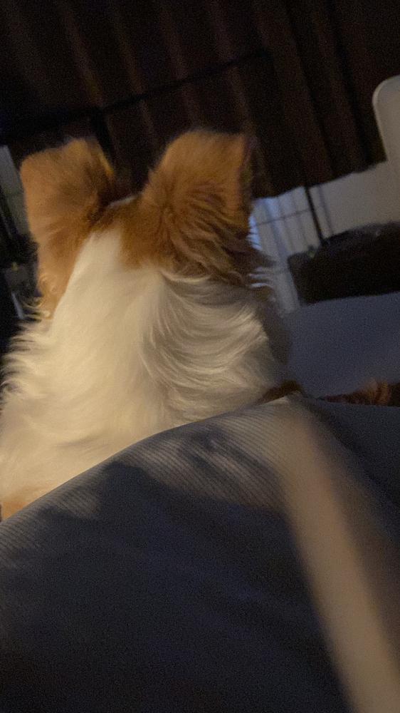 🥰