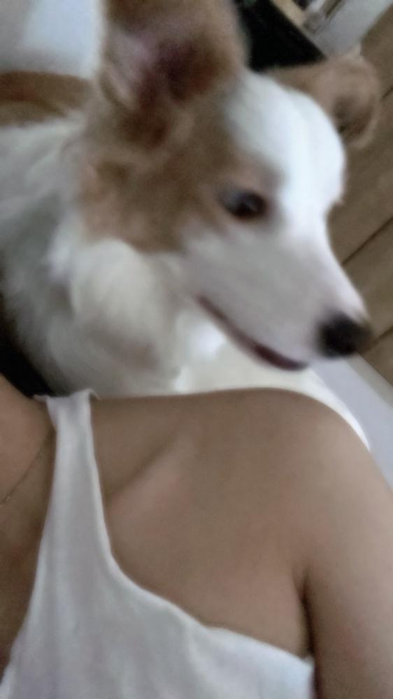 😭