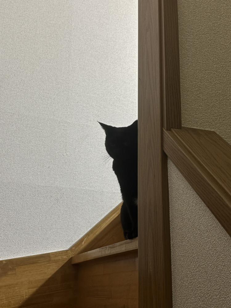 う