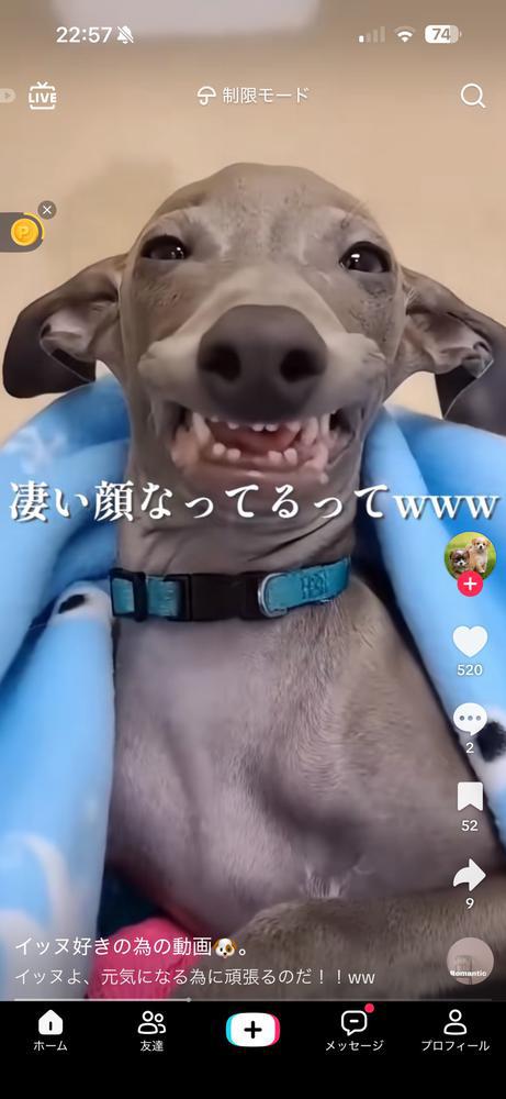 顔笑笑