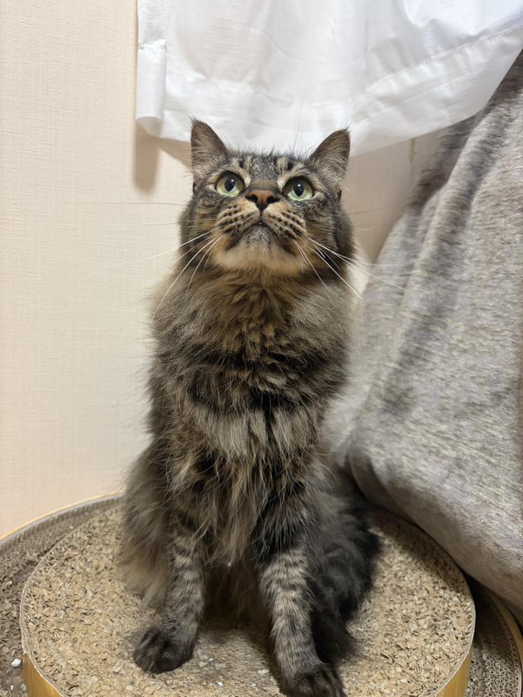 おやすみ！
