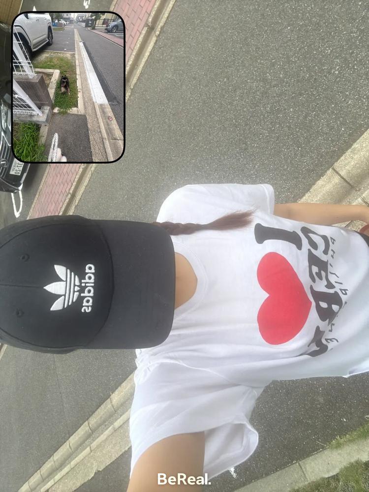本日おやすみ