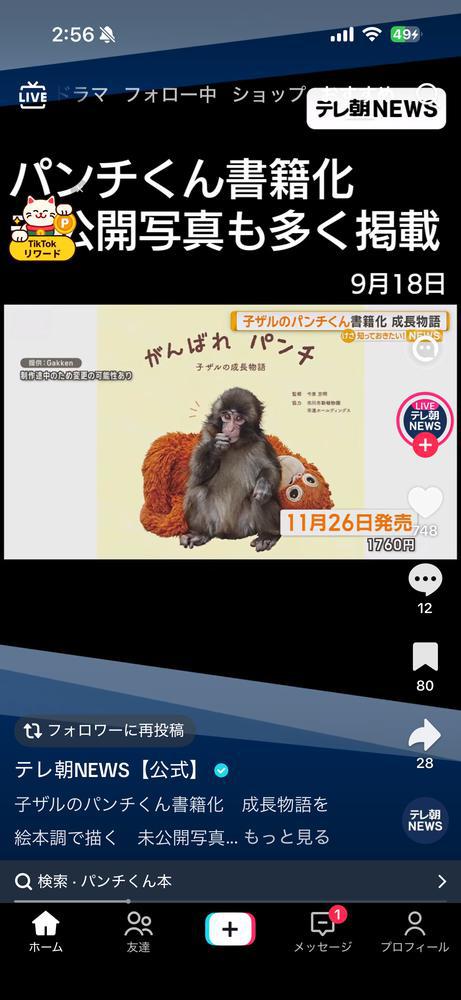 おさるさん