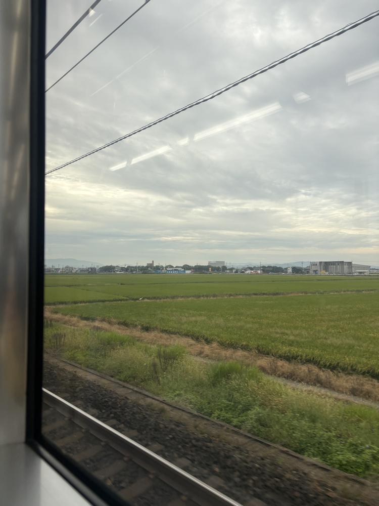 たんぼ