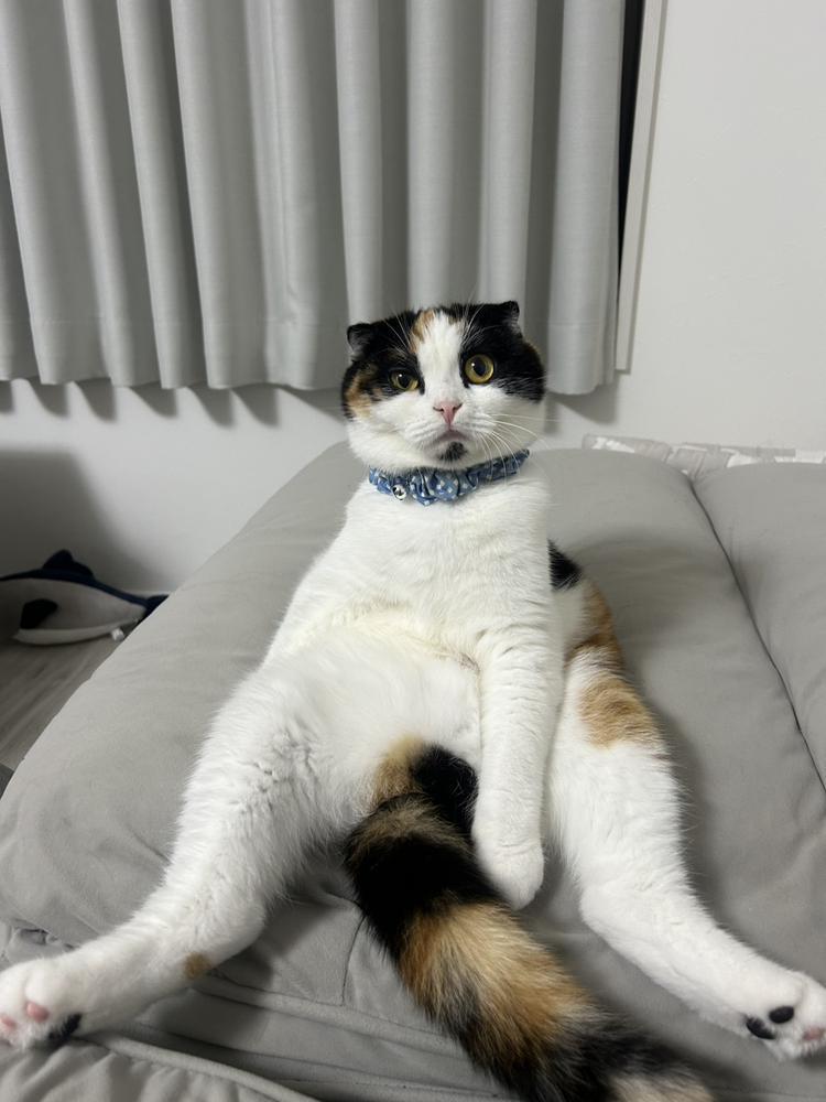 やあ(^O^)