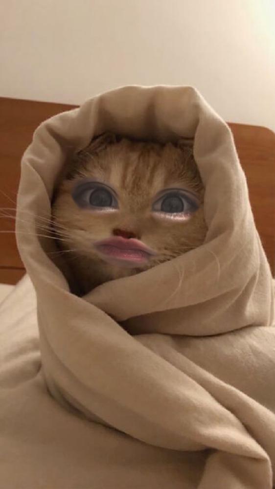 出勤！