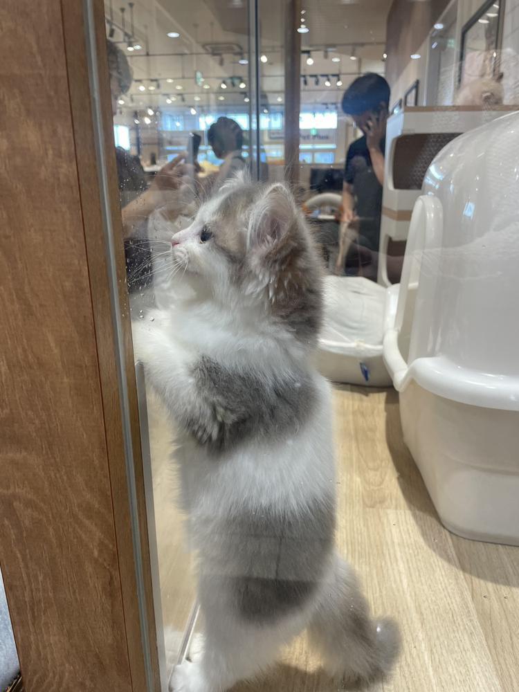 ぬ