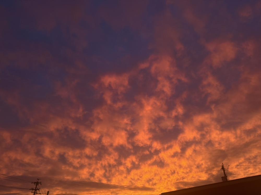 🌆