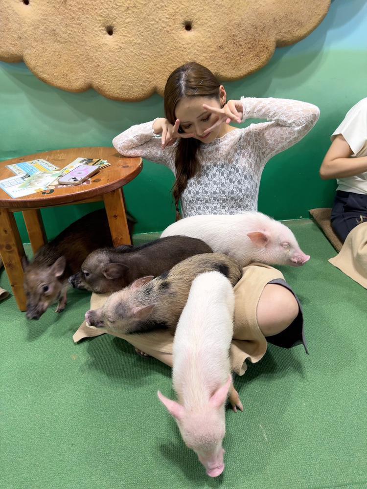 にゃーん