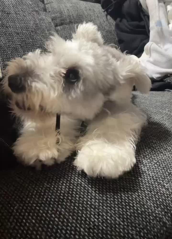 おはようございます！