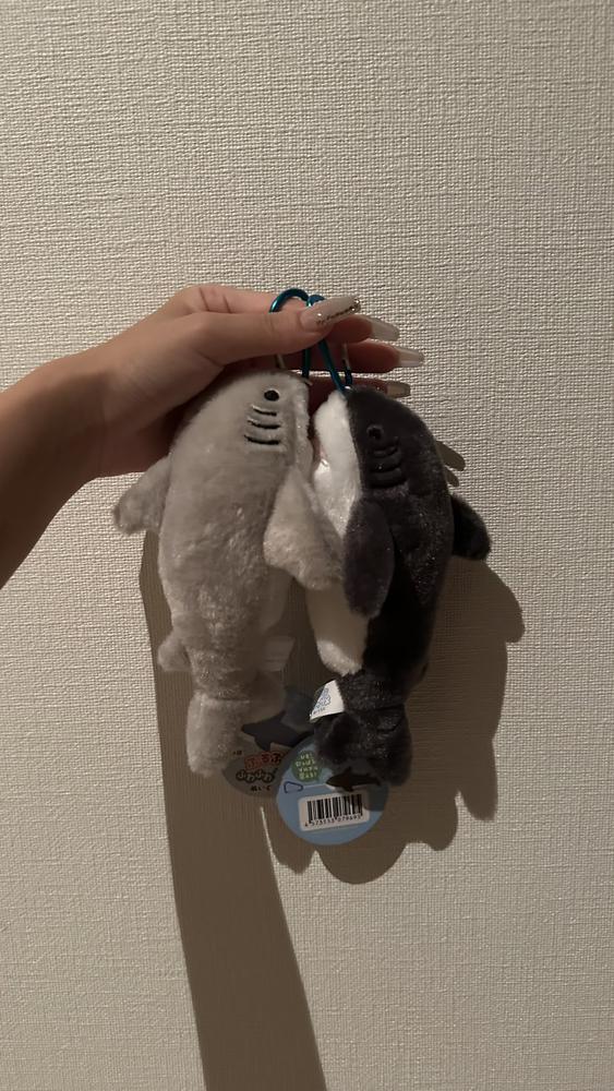 サメ🦈