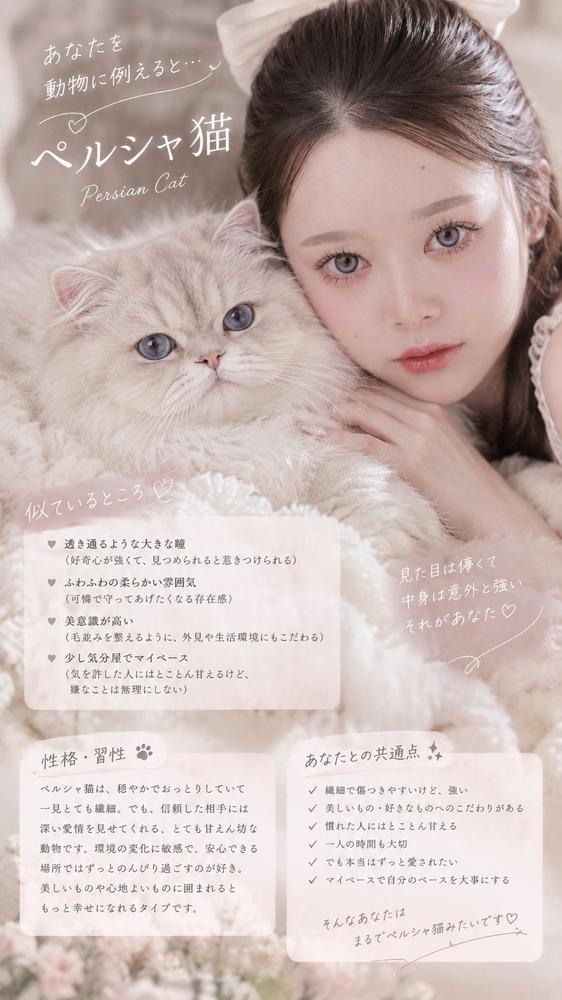おはよん