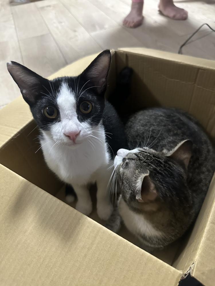 お休みです