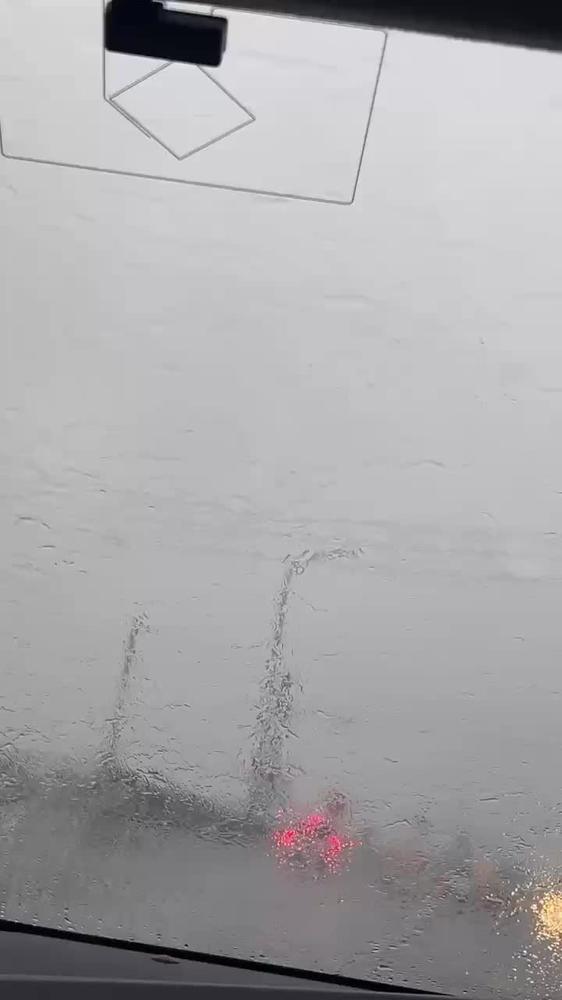 🌧🍃