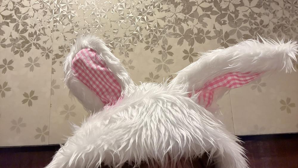 ウサギちゃんだよ🐰🩷