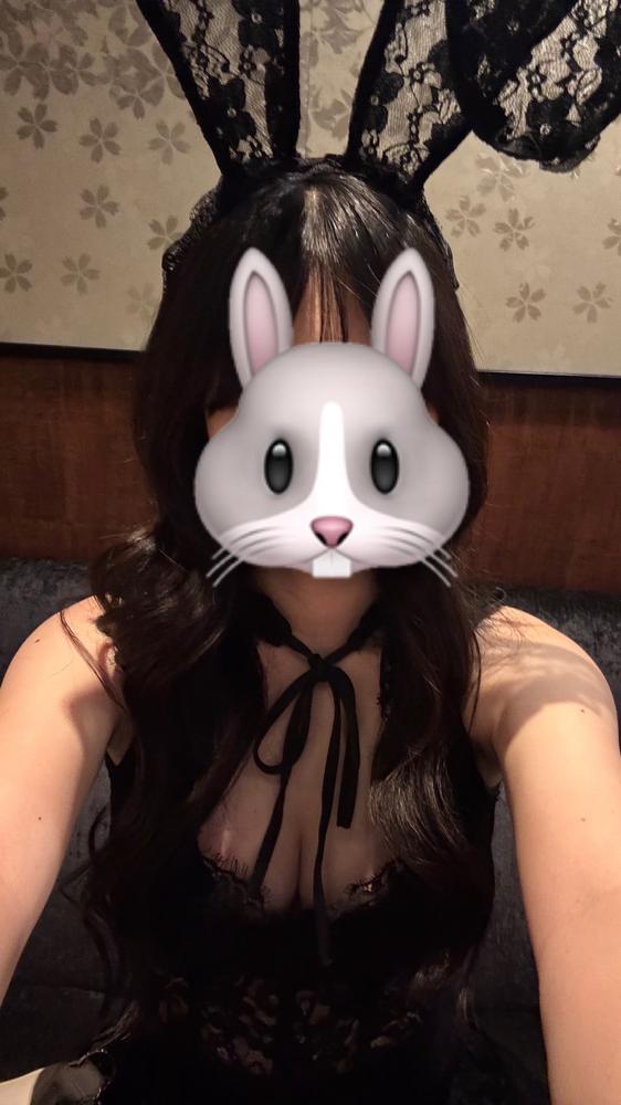 🐰