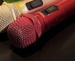 🎤♪*ﾟ