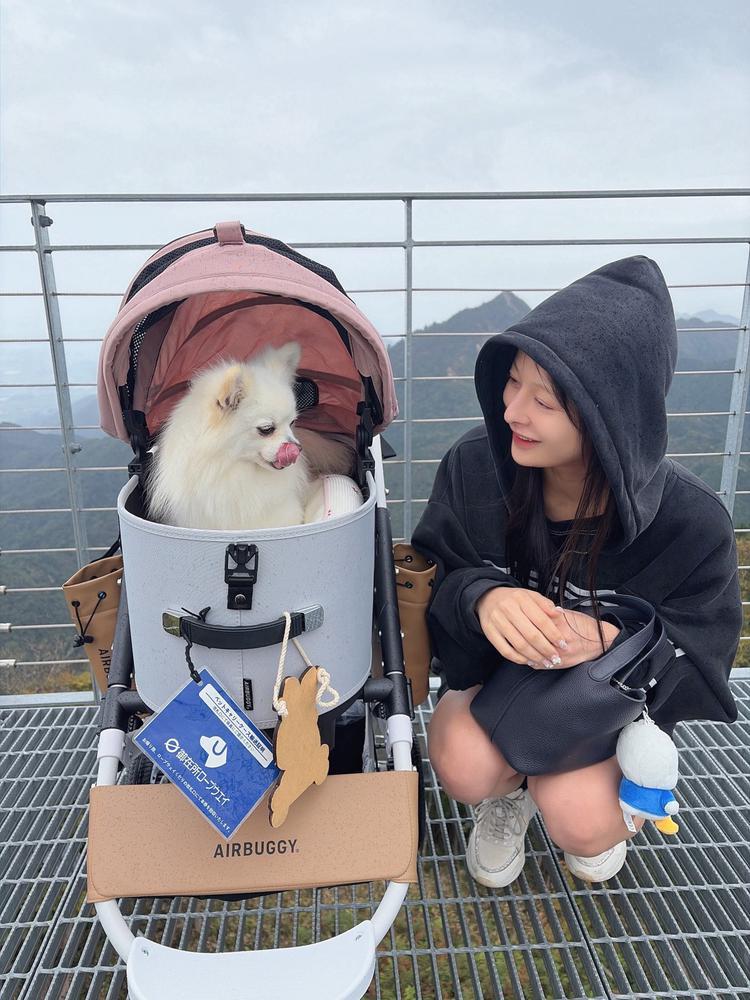 犬とおでかけ