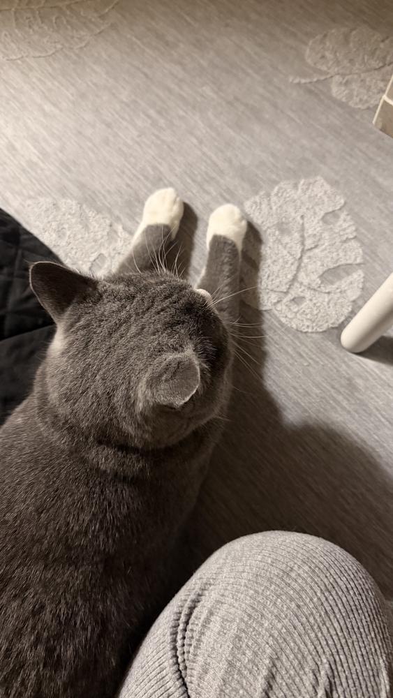今日からノルマ‼️