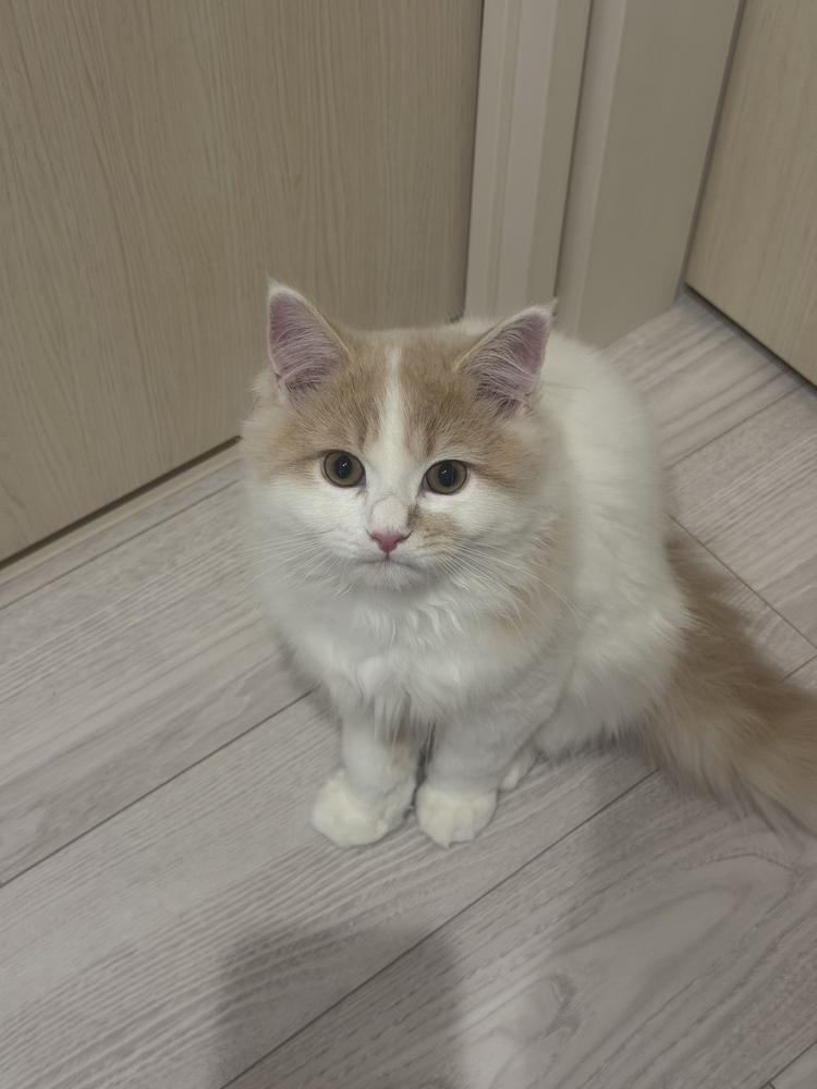しゅっきん！