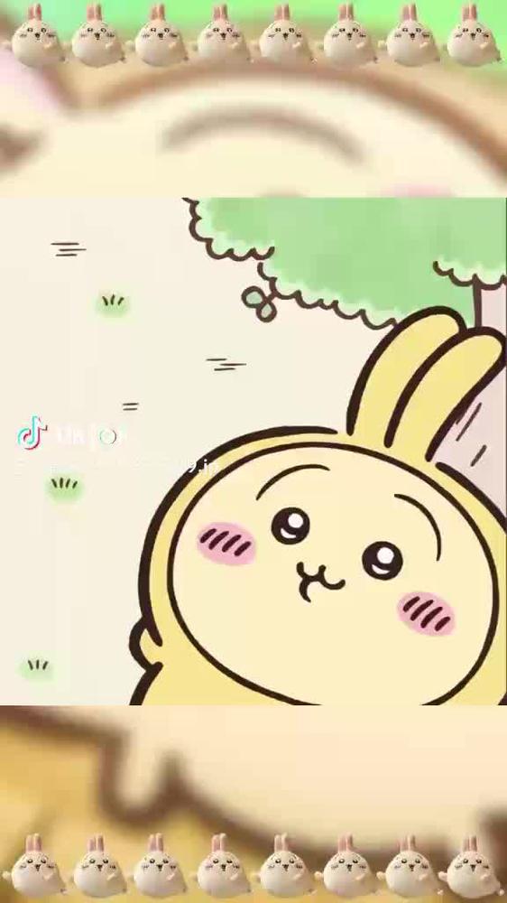 うさぎ🐰