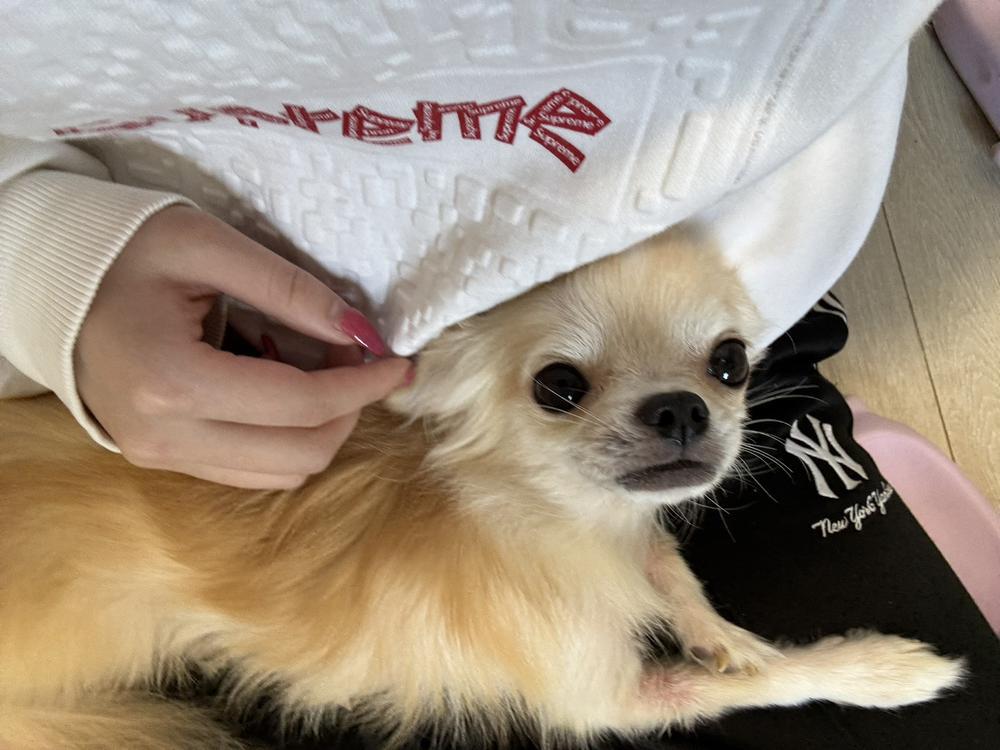 (৹ᵒ̴̶̷᷄ ᴗ ᵒ̴̶̷᷅৹)
