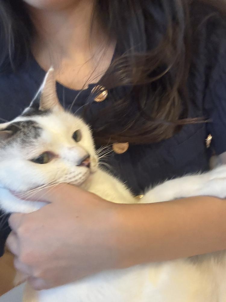 自炊むずかしい