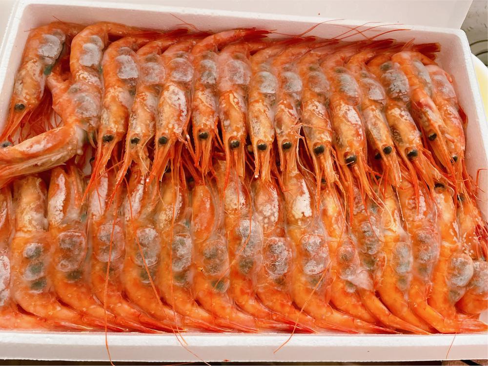 甘エビパーティー