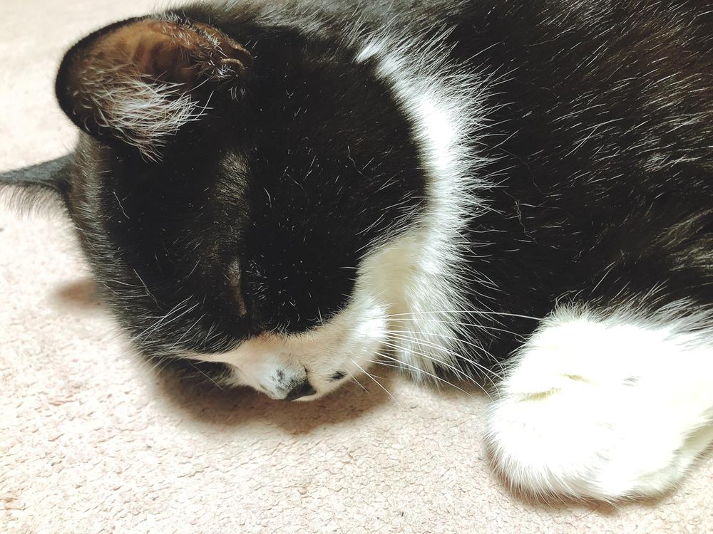 お気に入りの1枚