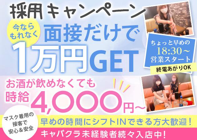 コンパニオン大募集中😊