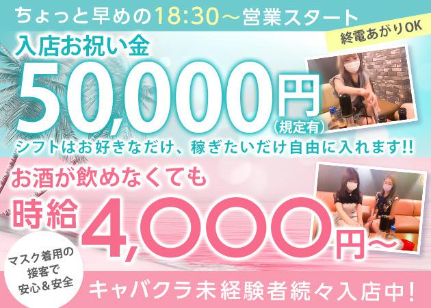 コンパニオン大募集中😊