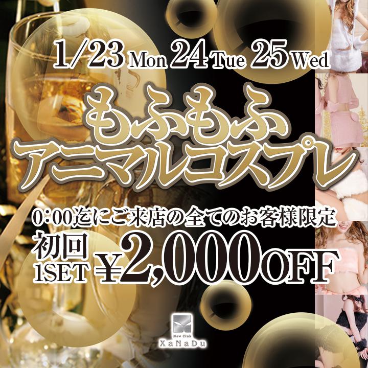 ❤もふもふアニマルコスプレ❤